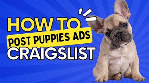 save search. . Puppies craigslist